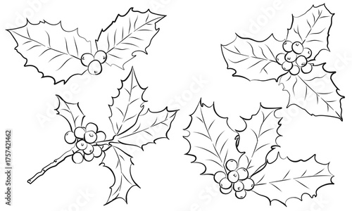 Hand Drawn of Holly with Berries, Drawing Sketch, Monochrome, Christmas Plant, Aesthetic Line Art, Sprig of Holly Doodle, Black, Vector