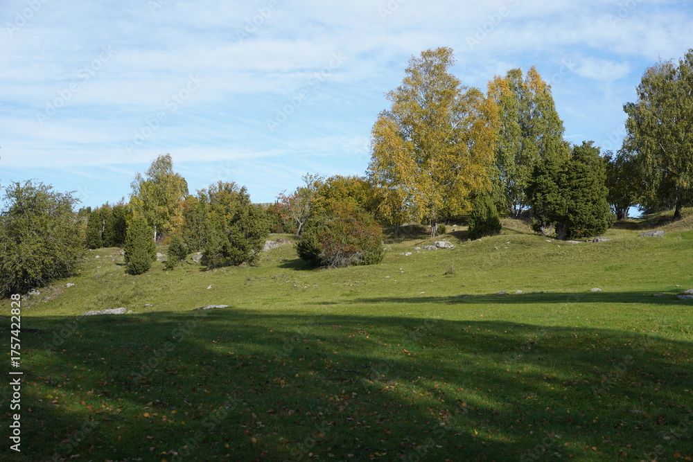 Fototapeta premium Das Gräberfeld der Wikinger von Birka auf Björko in Schweden