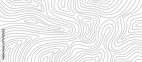 abstract wavy contour Background. Topographic Contour Background. abstract wavy wallpaper.