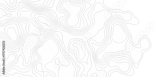 Abstract minimal geography location vector topo map. creative discovery White wave grid stripe line map topography. vector geographic contour mounted map background.	