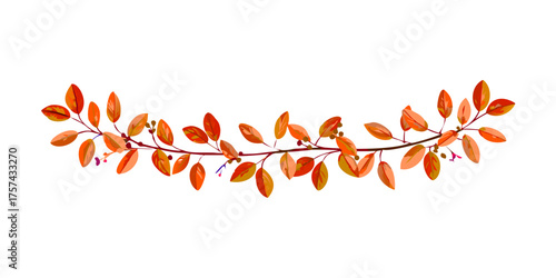 Twigs with green leaves (Cotoneaster lucidus) in a floral garland isolated on white or transparent background .vector icon
