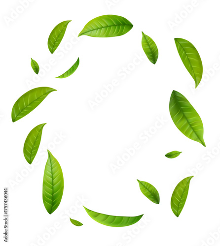 Adobe Illustrator Artwork
