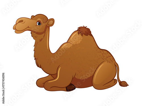 Vector cartoon illustration of a cute dromedary camel on a white background, perfect for desert or travel concepts