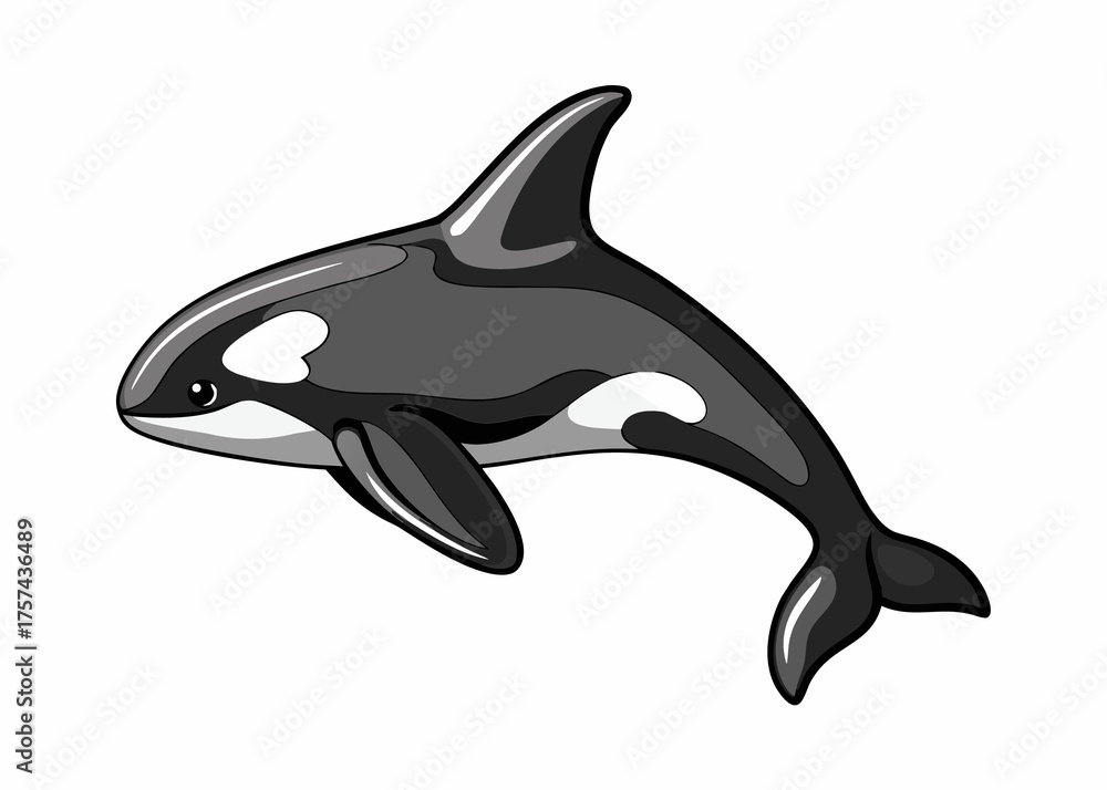 Fototapeta premium illustration of a dolphin isolated on white, swimming and jumping from the ocean water