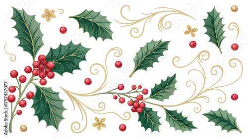 Christmas Holly Sprigs and Swirls Design Elements berries