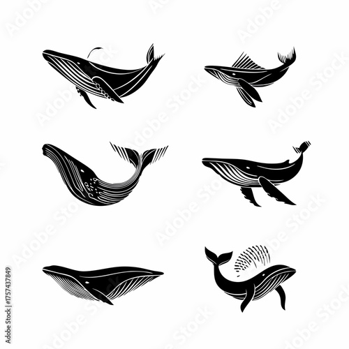 Diverse Vector Whale Illustrations. Stylized Black Silhouettes of Marine Mammals for Ocean Themes and Aquatic Designs.