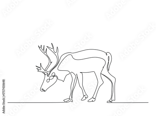 Reindeer in single outline illustration. Continuous line art drawing of wild reindeer. Editable stroke.