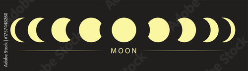 set of moon phase vector