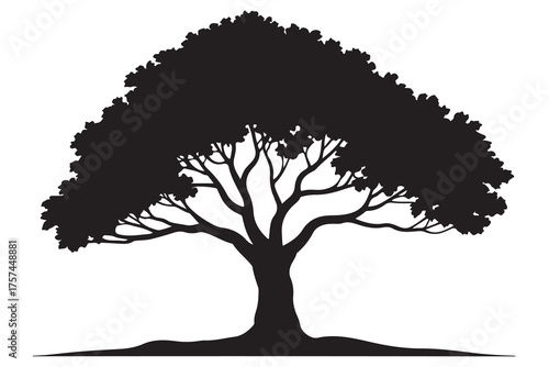 Beautiful tree silhouette illustration with natural branches and leaves isolated on white background
