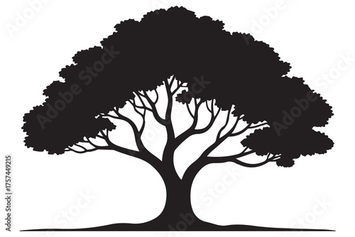 Beautiful tree silhouette illustration with natural branches and leaves isolated on white background
