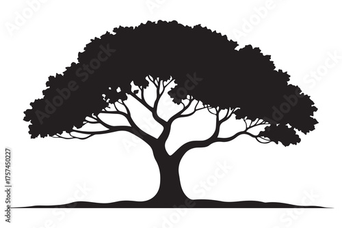 Beautiful tree silhouette illustration with natural branches and leaves isolated on white background
