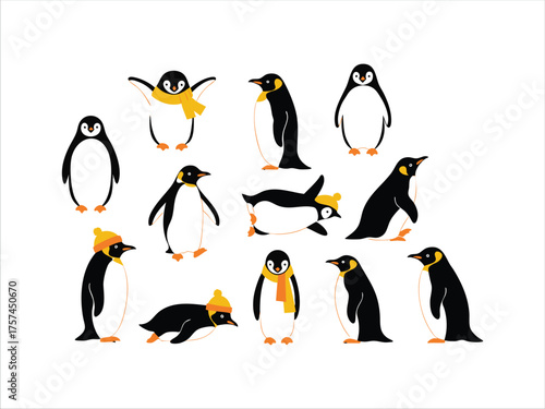 penguin