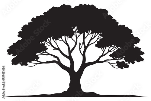 Beautiful tree silhouette illustration with natural branches and leaves isolated on white background
