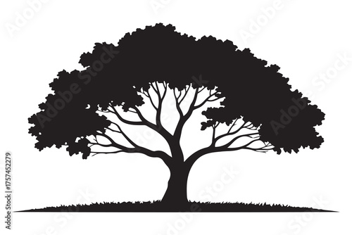 Beautiful tree silhouette illustration with natural branches and leaves isolated on white background

