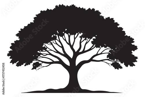 Beautiful tree silhouette illustration with natural branches and leaves isolated on white background
