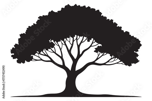 Beautiful tree silhouette illustration with natural branches and leaves isolated on white background
