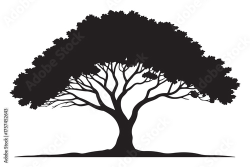 Beautiful tree silhouette illustration with natural branches and leaves isolated on white background
