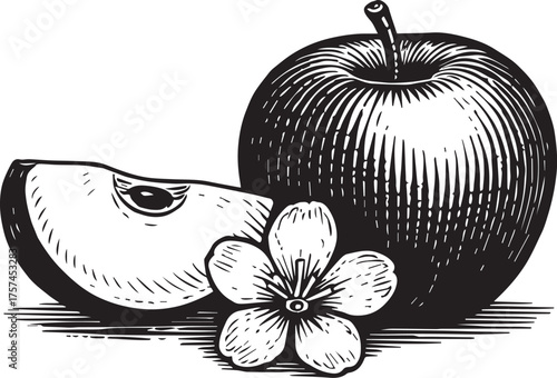 Apple with slice and blossom black and white detailed etching illustration for botanical and food packaging design