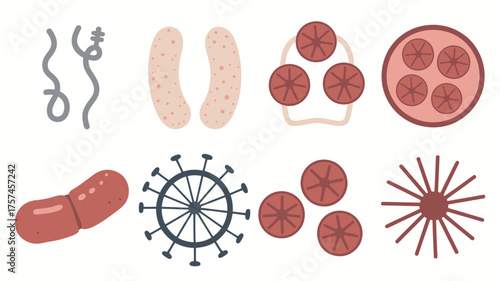 Collection of sewing tools and spice sets with food illustrations on white background
