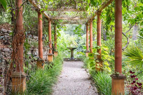 Romantic garden walkway forming a green tunnel, springtime, nobody