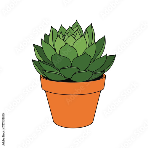 Vibrant green succulent plant in terracotta pot hand drawn botanical art garden decor vector