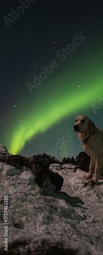 Northern Lights in Iceland