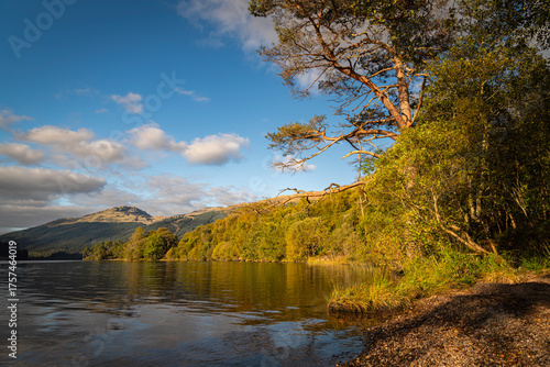 A sunny, autumnal HDR image of Loch Eck looking north from the shore of Jubilee point picnic site, Argyll and Bute, Scotland.