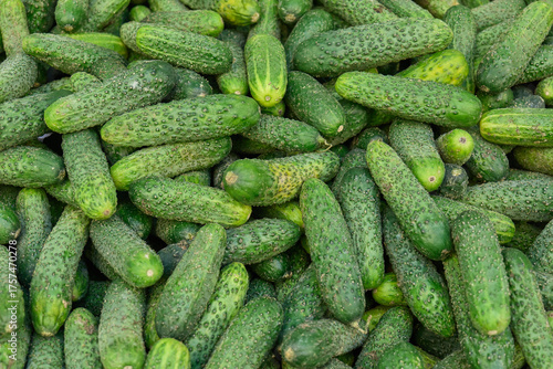 Fresh cucumbers stacked in a market display