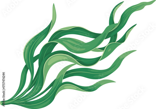 Flowing green seaweed, underwater kelp leaves, marine plant illustration, botanical vector, ocean ecosystem graphic, aquatic nature art, swaying fronds design
