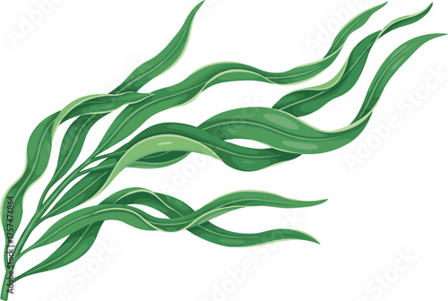 Flowing green seaweed, underwater kelp leaves, marine plant illustration, botanical vector, ocean ecosystem graphic, aquatic nature art, swaying fronds design