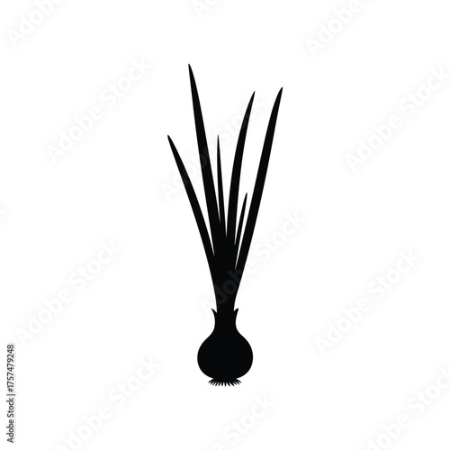 Tall grass plant in a vase silhouette