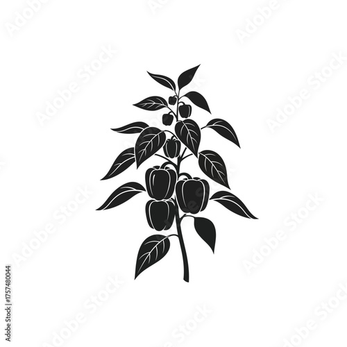 Black silhouette of a bell pepper plant silhouette