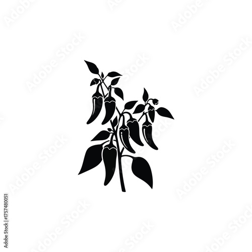Black silhouette of a chili pepper plant
