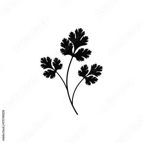 Black silhouette of a parsley sprig