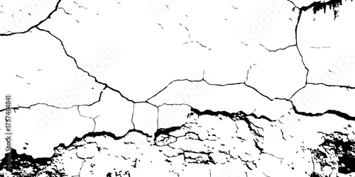 Black and white surface showing cracked, aging wall with peeling textures—great for urban decay themes or digital artwork.

