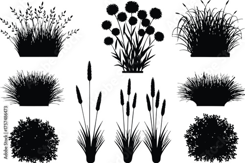 Black silhouettes of various plants and grasses black and white