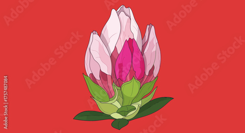 Pink flower bud, digitally drawn, isolated on red background