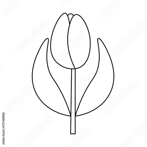 Simple line art tulip flower