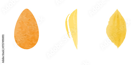 Three watercolor petals in varying shades of yellow and orange are depicted. The illustrations are set against a clean, white background and appear vector based.