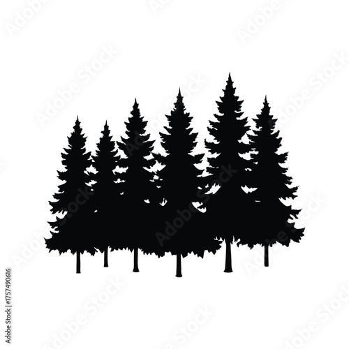 Silhouette of Evergreen Trees Against a White Background Creating a Forest Scene, dense forest trees silhouette vector illustration