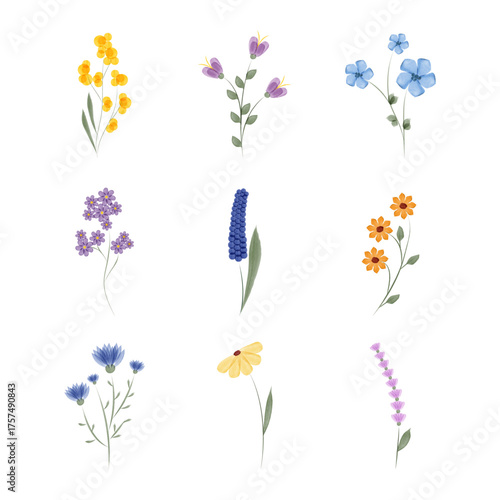 Nine individual watercolor flower illustrations, each a different species and color, are neatly arranged on a white background. Floral elements are isolated and presented.