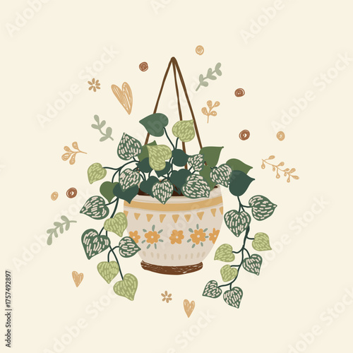  illustration of hanging house plant 