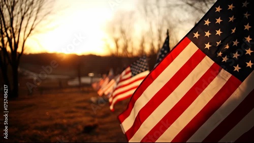 Rows of American Flags Basking in Sunset Light at a Tranquil Field, Evoking Patriotism and Remembrance