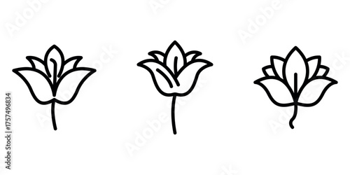 lily outline or line icon design bundle.