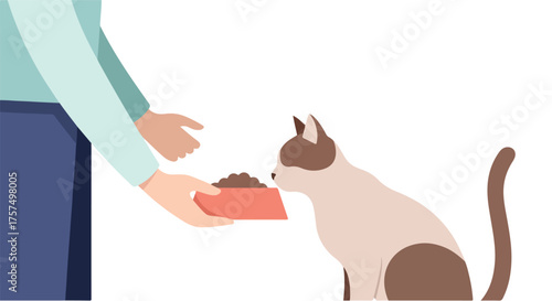 A person's hands gently hold a pet food bowl filled with dry kibble for a Siamese cat to eat from, illustrating pet care and feeding time