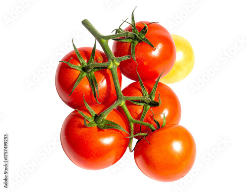 racimo de tomate