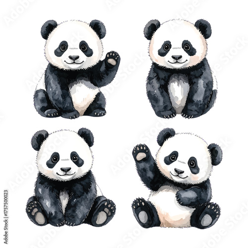 Panda Watercolor Illustration for Kids Collection