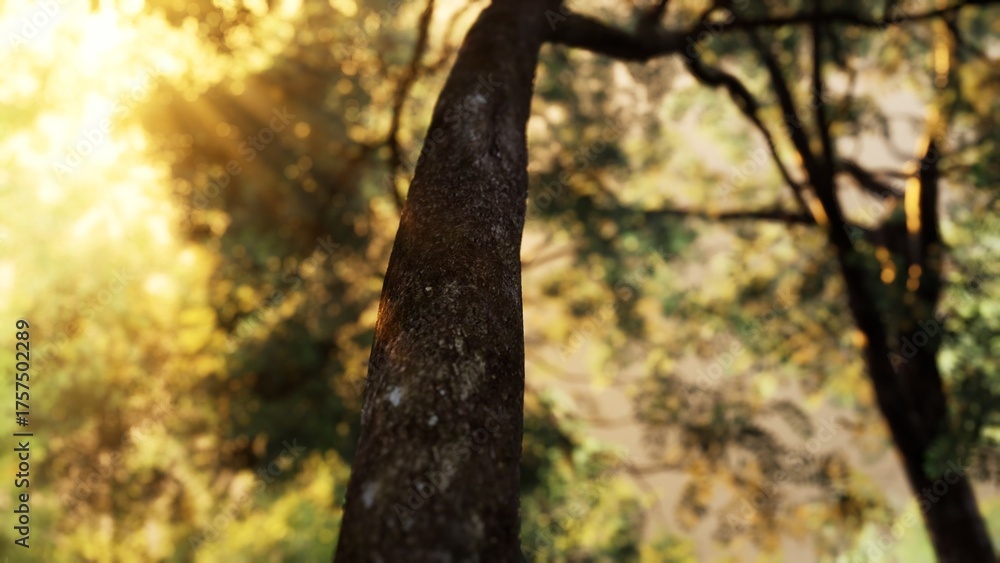 Fototapeta premium Sunlight bursts through the canopy, casting a warm glow on the trunk of a majestic tree. Leaves shimmer in the gentle breeze, creating a peaceful atmosphere in the lush forest.