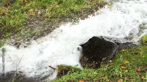 Stream of fast-flowing water rushing between wet rocks in a forest setting, showing dynamic motion and clean water energy. Great for nature, motion, and environmental content. High quality 4k