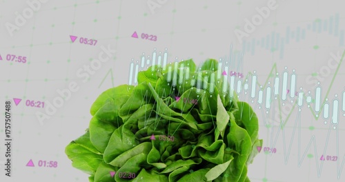 Resting green lettuce on white backdrop, with grid, cyan bars, line graphs and purple time markers